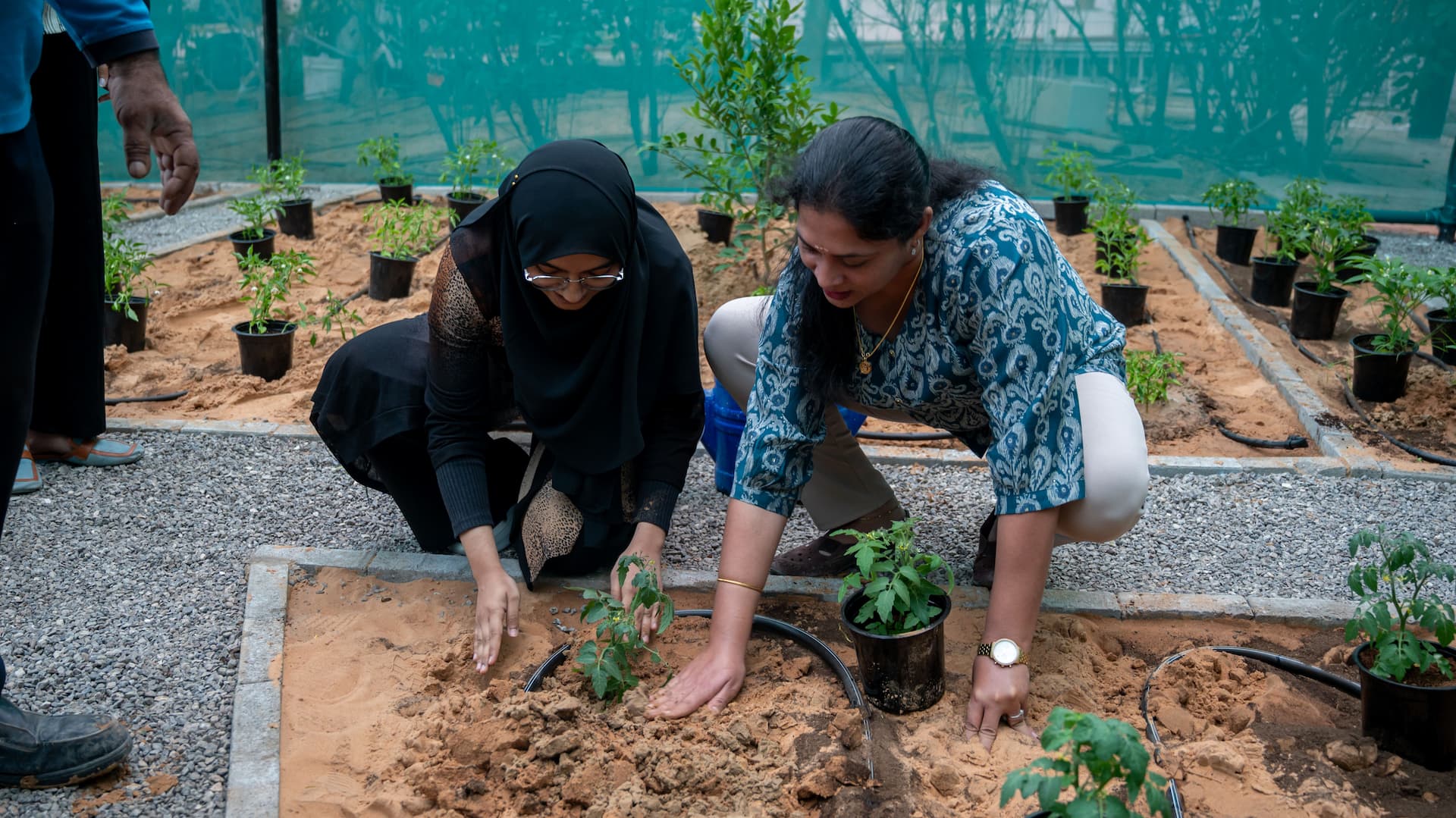 MAHE Dubai Launches Community Garden with First Planting Under SMILES Program